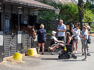 PN070822-157 - Paul Nicholls Stable Visit